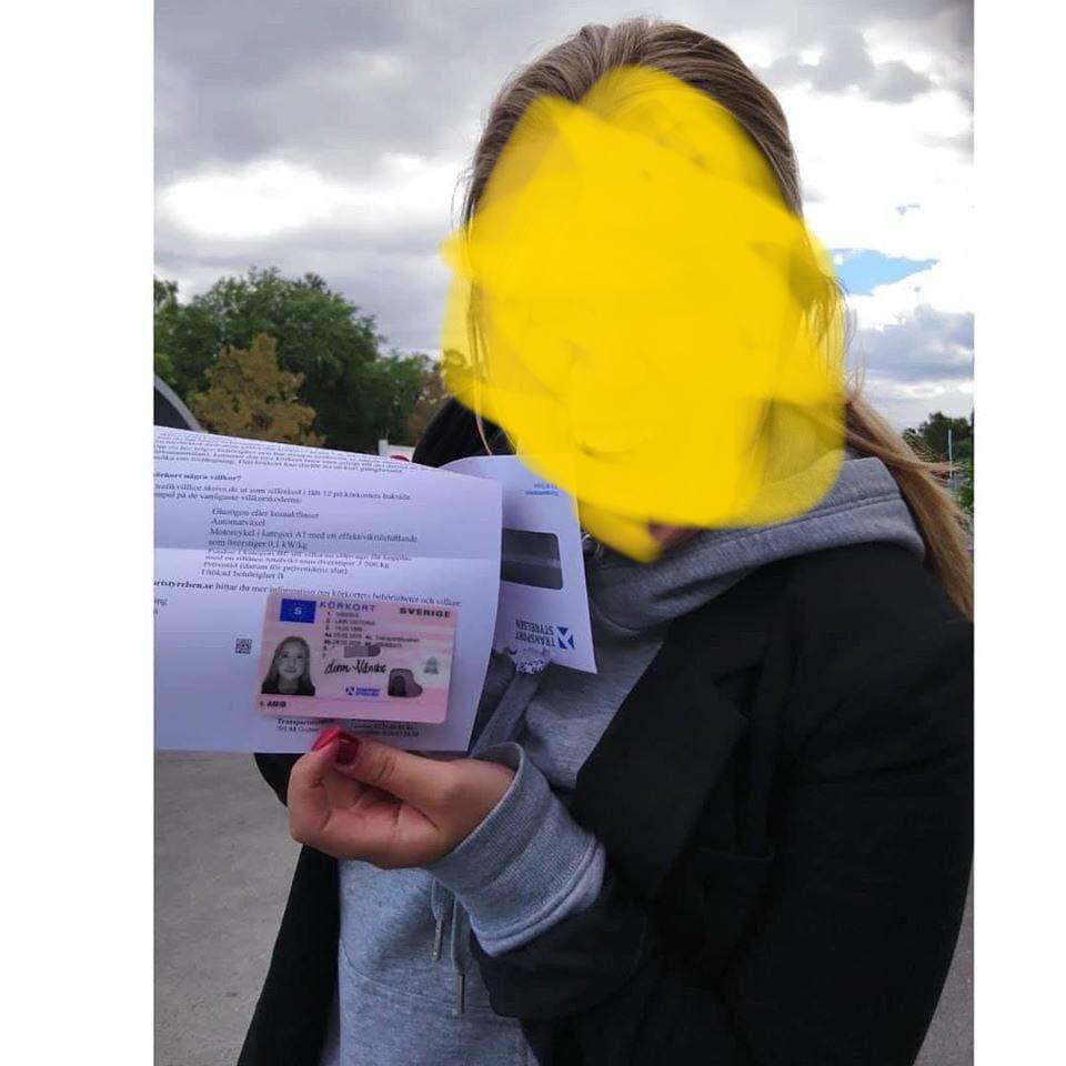 Dutch Driver's License
